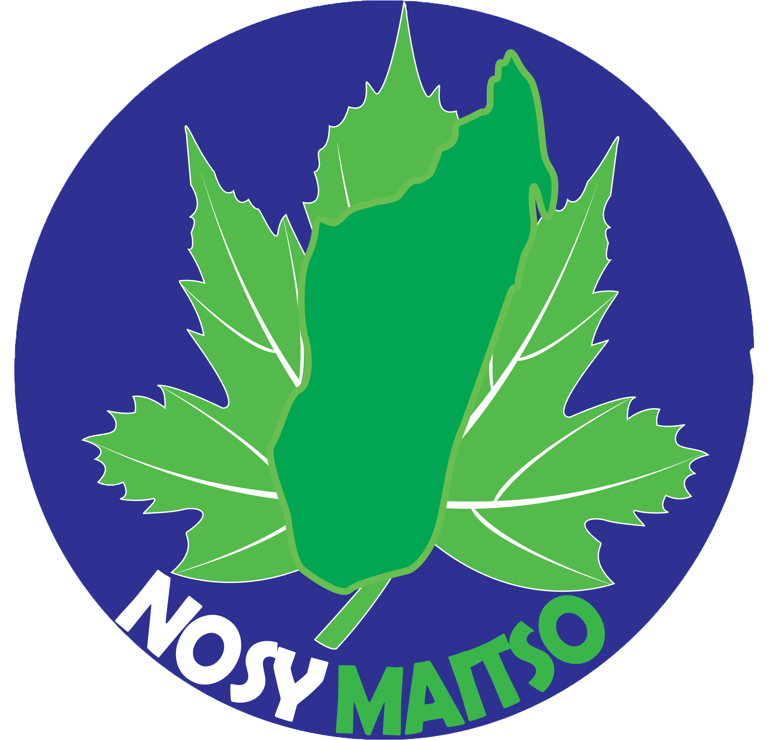 Logo Nosy Maitso